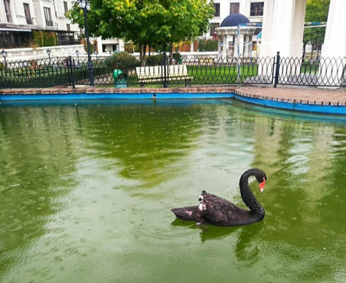 Facebook/ Сакен Дилдахмет