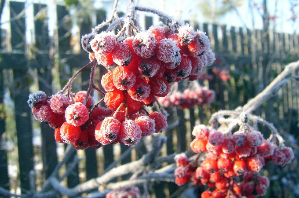Синоптики предупредили о шторме в двух регионах Казахстана 