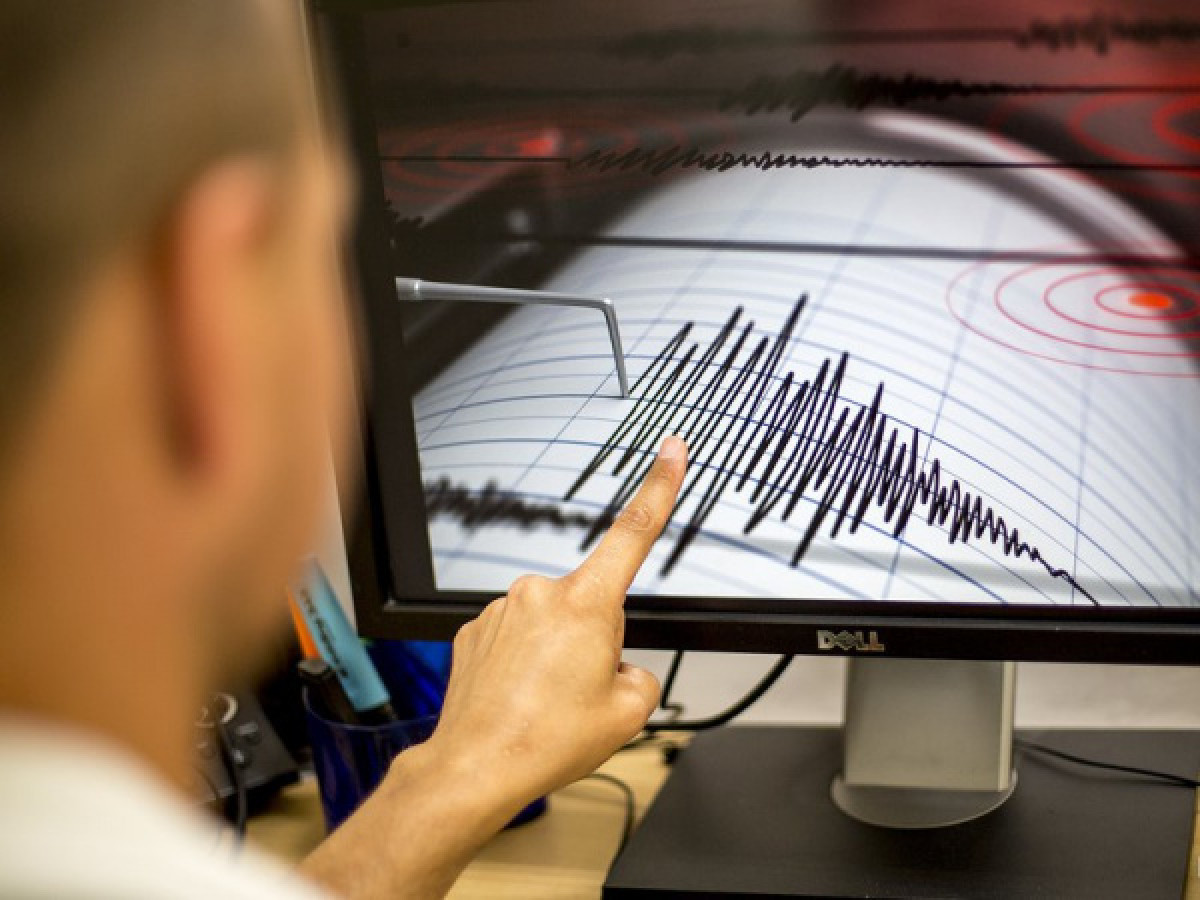 иллюстративное