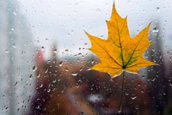 Фотография к новости: Мокрый снег прогнозируют в большинстве регионов Казахстана