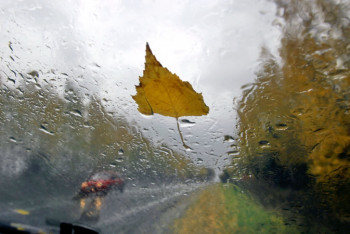 Фотография к новости: Штормовое предупреждение объявлено в пяти областях Казахстана 