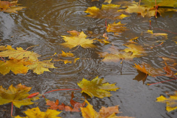 Фотография к новости: Какая погода ожидается в Казахстане 15 октября