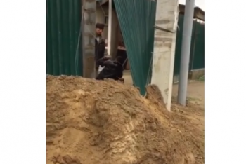 Фотография к новости: За побои сына мухобойкой алматинца привлекли к ответственности