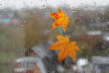 Фотография к новости: Штормовое предупреждение объявлено в Нур-Султане и трех областях РК