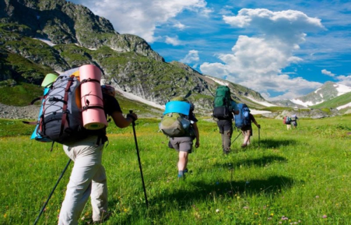 из открытых источников