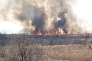 Фотография к новости: Столбы дыма близ Нур-Султана: на окраине столицы горит камыш
