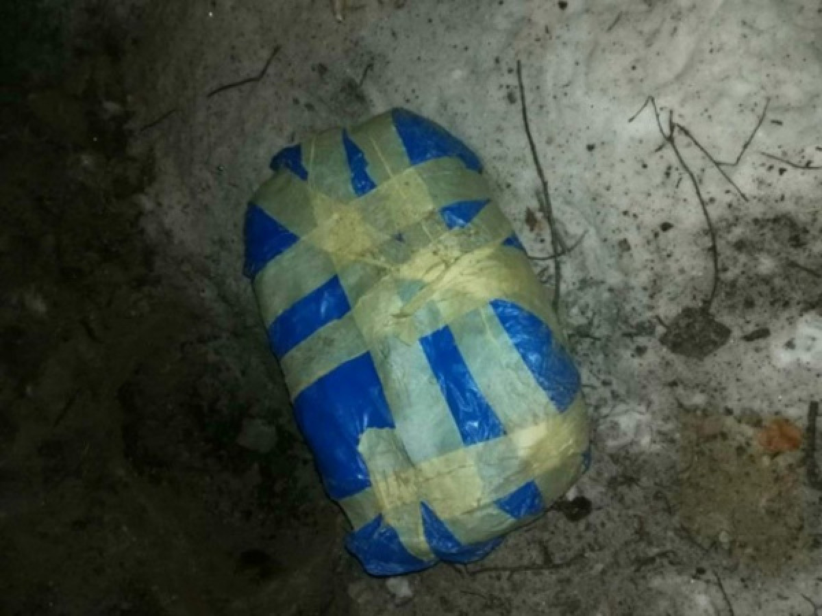 из открытых источников