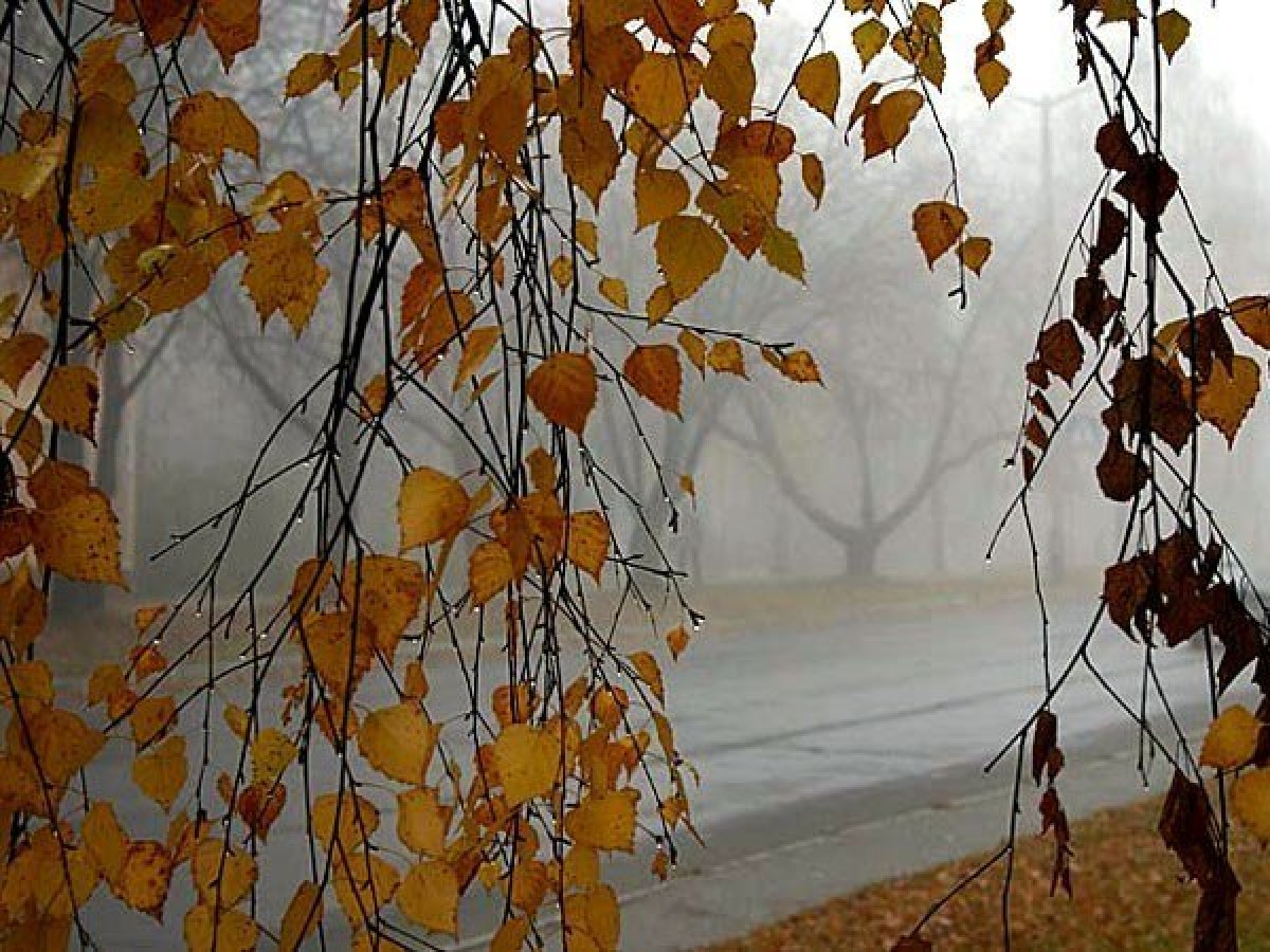 иллюстративное