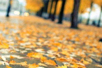 Фотография к новости: Какой будет погода в ближайшие три дня рассказали синоптики