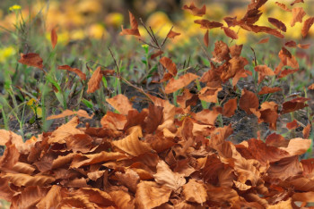 Фотография к новости: Усиление ветра обещают синоптики 24 октября 