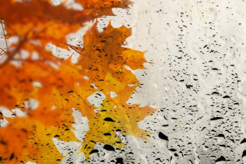 Фотография к новости: Туман ожидается на большей территории Казахстана 25 октября