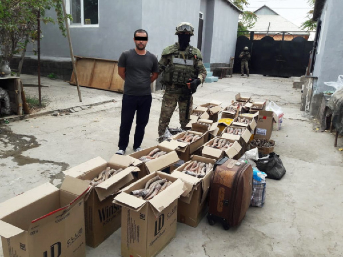 Токаев возмутился браконьерскому беспределу и поручил положить этому конец