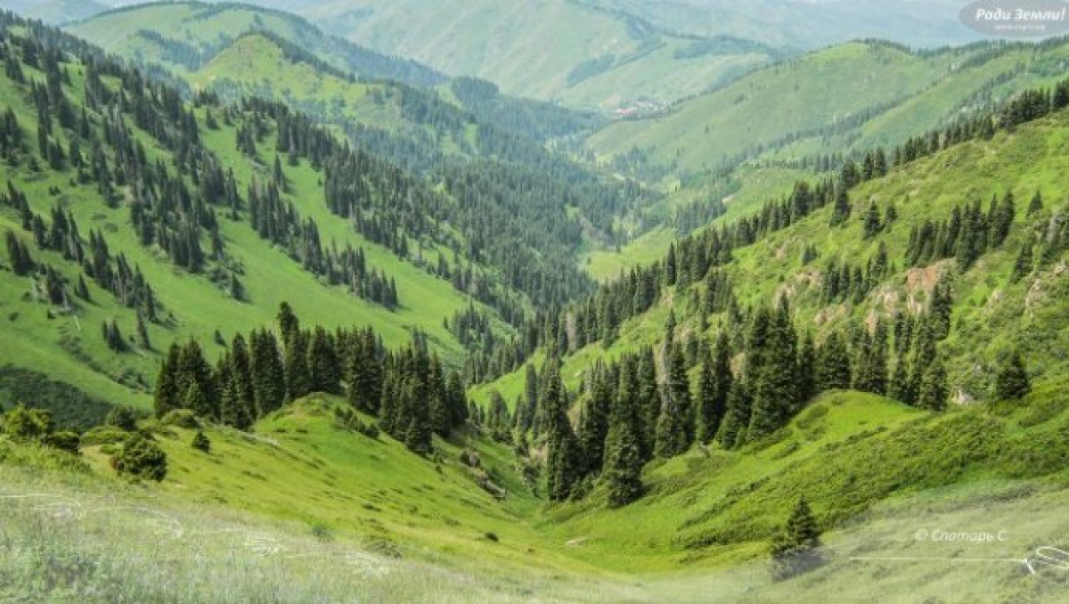 Президент поручил вернуть незаконно выданные земли Иле-Алатауского нацпарка 