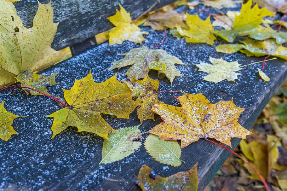 Три волны похолодания накроют Казахстан в ноябре