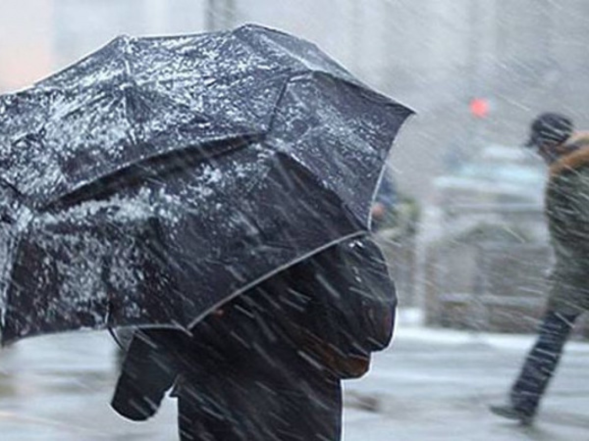 иллюстративное