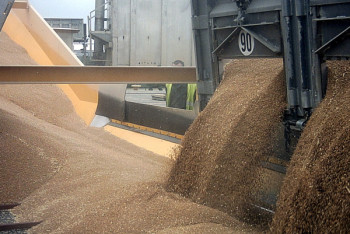 Рабочий элеватора в Кокшетау задохнулся под завалами жмыха