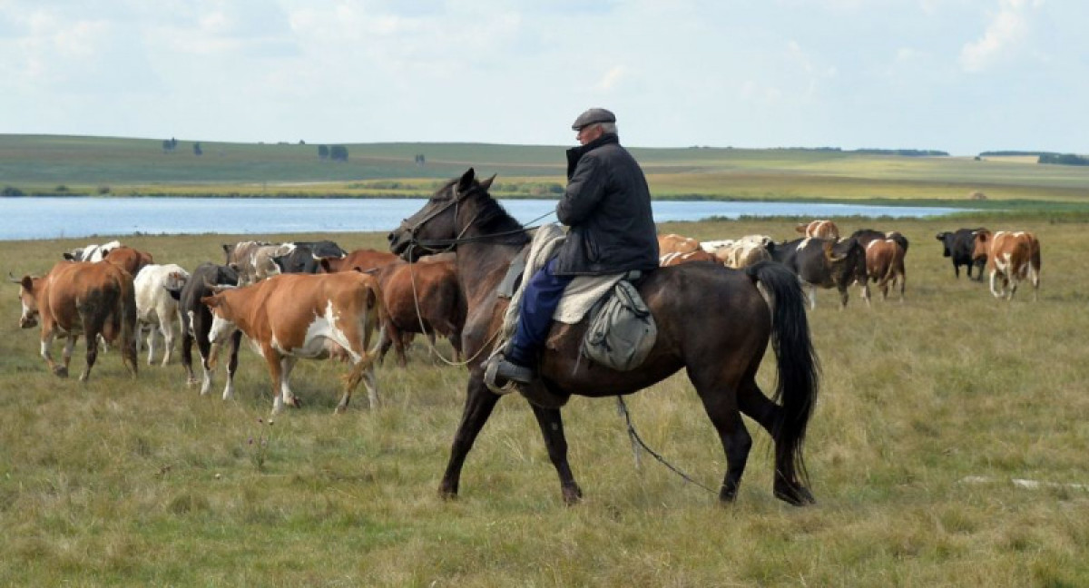МСХ выплатит долги по субсидиям митингующим фермерам в Актюбинской области 