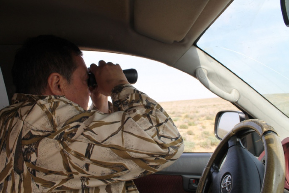 Госинпекторам по охране животного мира разрешили использовать служебное оружие