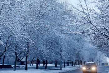 Фотография к новости: Какая погода ожидает казахстанцев 8 ноября