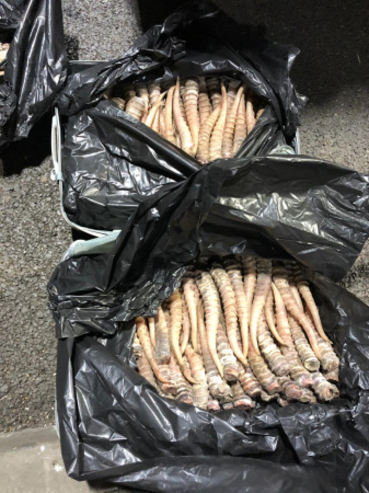 пресс-служба ПС КНБ РК.