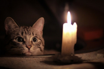 Фотография к новости: Уголовную ответственность понесут виновные в отключении электричества в Нур-Султане