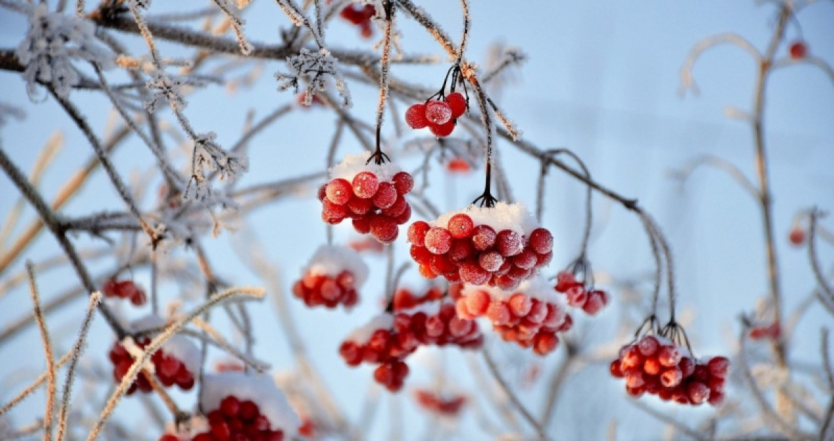 иллюстративное