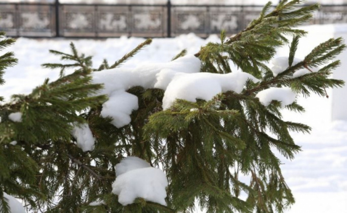 Иллюстративное - astana.gov.kz