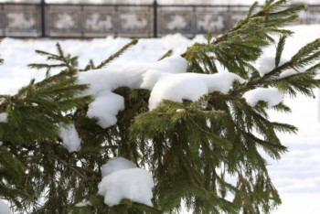 Фотография к новости: В нескольких областях Казахстана объявлено штормовое предупреждение