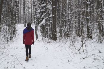 Фотография к новости: Полуобгоревший труп женщины найден в Карагандинской области
