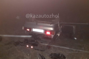 Фотография к новости: Семья попала в смертельное ДТП с лошадьми в Павлодарской области 