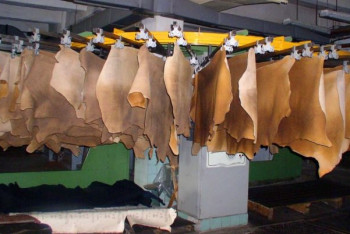 Фотография к новости: В Семее банкротом объявлен единственный в РК завод по переработке кожи