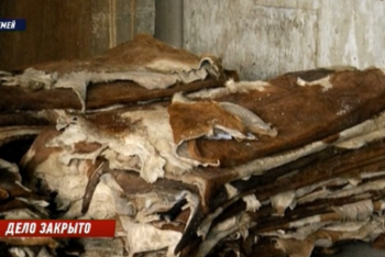 Фотография к новости: 10 лет не ведут хозяйственную деятельность – решение о признании банкротом кожмехкомбината в Семее пояснили в суде ВКО