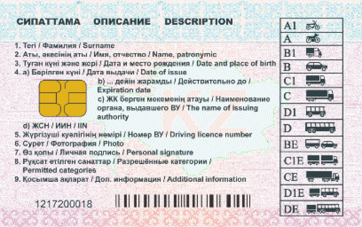 Как изменится дизайн водительских удостоверений, рассказали в МВД 