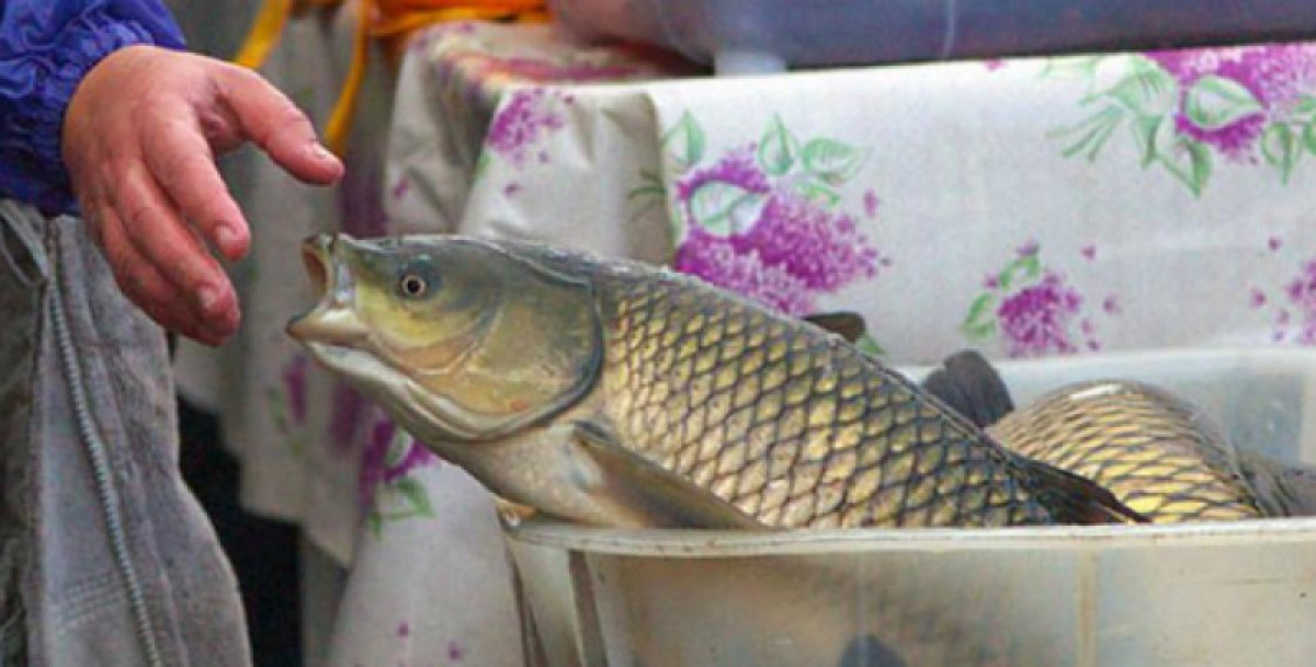 Удобрения, рыба и машина: какие взятки получают казахстанские чиновники