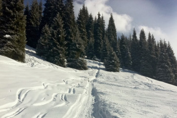 Фотография к новости: Создать комфортные условия для доступного отдыха в горах намерен аким Алматы