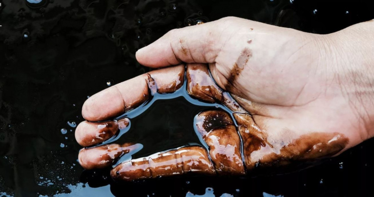 из открытых источников