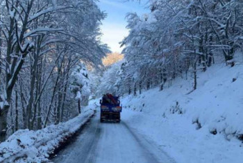Фотография к новости: Около 33 тыс. домов остаются без света после снегопада во Франции
