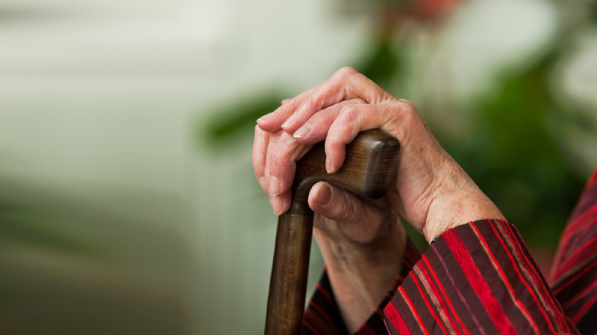 иллюстративное