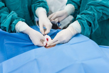 Фотография к новости: Жительница Туркестанской области утверждает, что медики сделали ее инвалидом