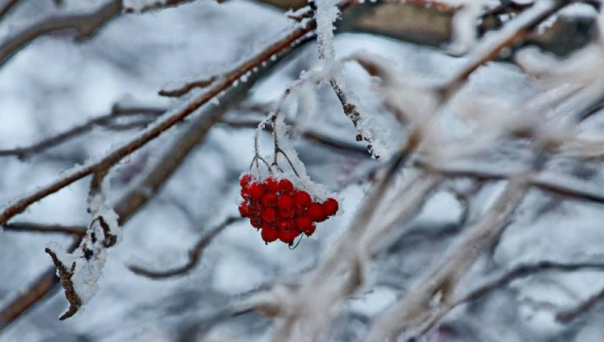 О погоде на выходные рассказали синоптики