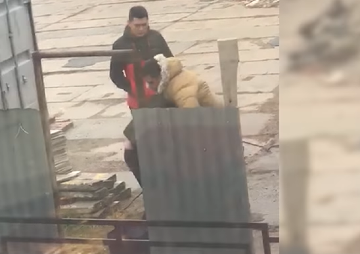 Скрин из видео