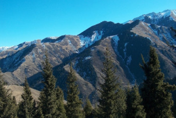 Фотография к новости: О селевой опасности в ущельях близ Алматы предупредили специалисты