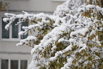 Фотография к новости: Студенты из Индии впервые увидели снег в Казахстане