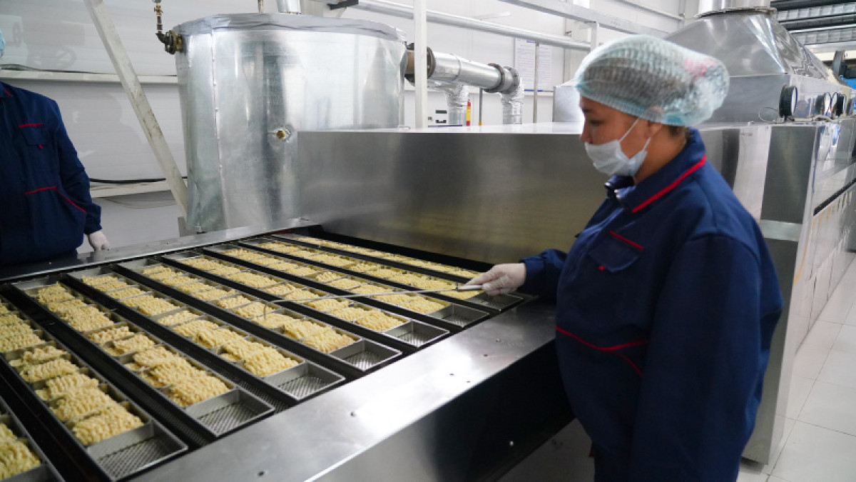 Завод по изготовлению лапши открыли в Туркестанской области