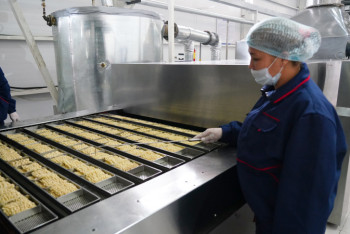 Фотография к новости: Завод по изготовлению лапши открыли в Туркестанской области