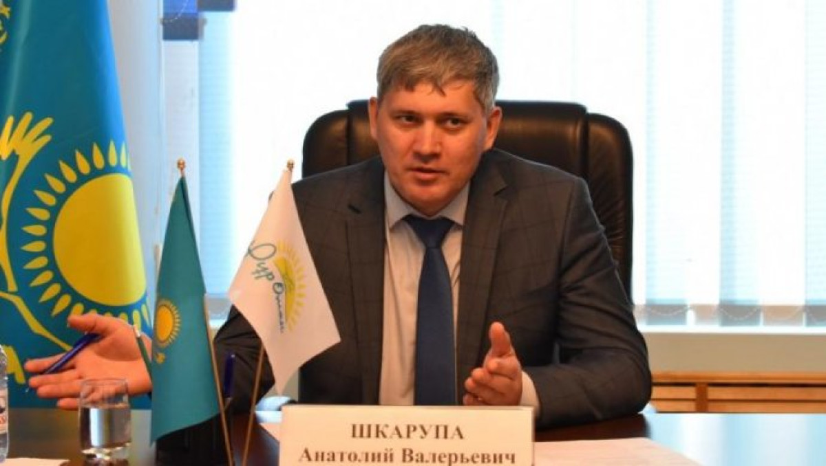 из открытых источников