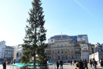 Фотография к новости: Главную елку Лондона осмеяли в соцсетях за унылый вид