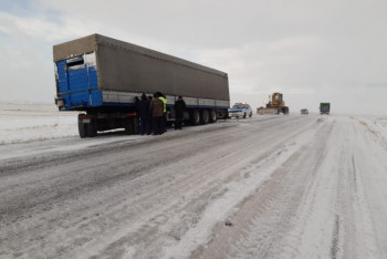 Фотография к новости: Фура с племенным скотом вылетела в кювет в ВКО