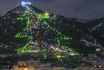 Фотография к новости: Самую большую новогоднюю елку в мире зажгли в Италии