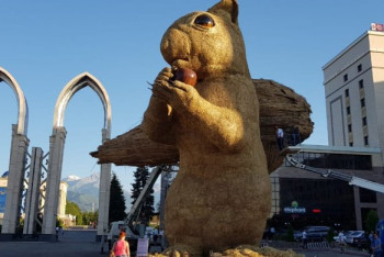 Фотография к новости: Сагинтаев рассказал о судьбе алматинской белки